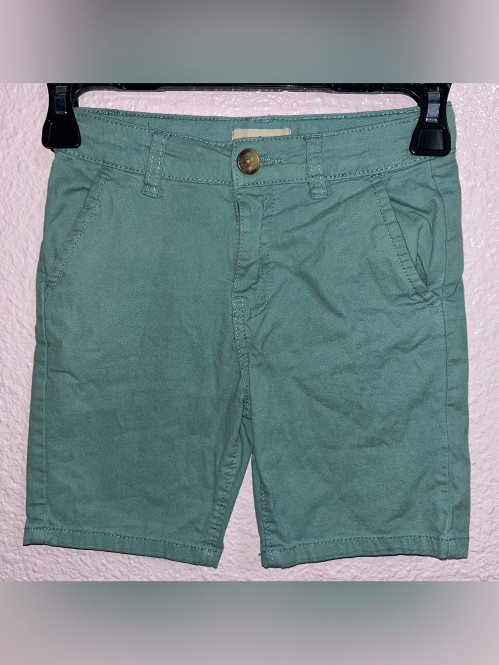 Men's Mint Green Cotton Chino Shorts